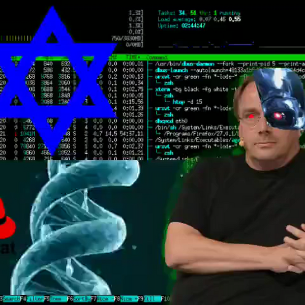 linux-meme-video